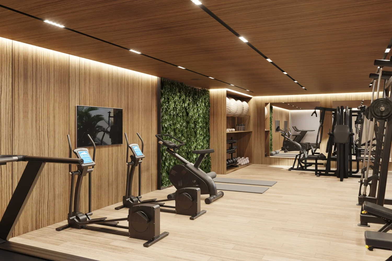 Gimnasio